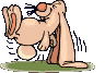 Hase1