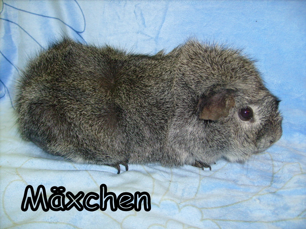 Mxchen