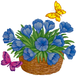 aaa blume 27